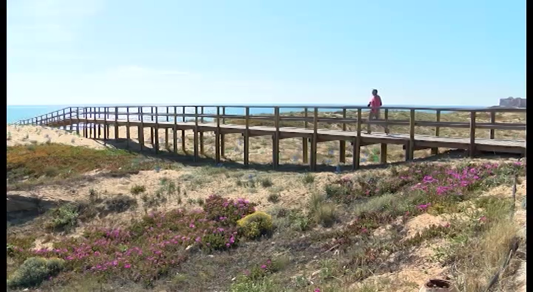 Imagen de La concejalía de Medio Ambiente proyecta ampliar la protección del paraje natural del Molino del Agua