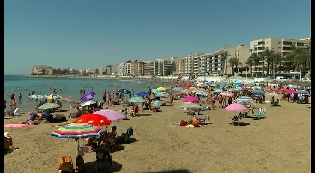 Imagen de Las playas de Torrevieja consiguen seis banderas azules