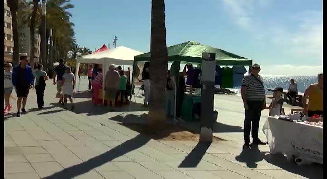 Imagen de Torrevieja celebra la primera Feria de ONGS del año