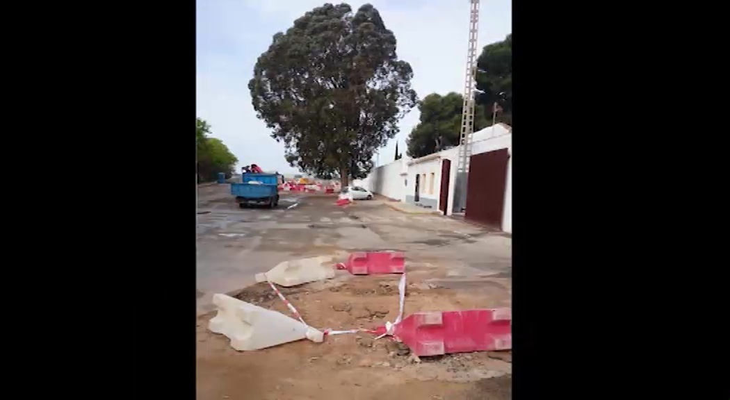 Imagen de Desaparecen dos de los árboles centenarios, la olivera y el pino, del entorno del Cementerio