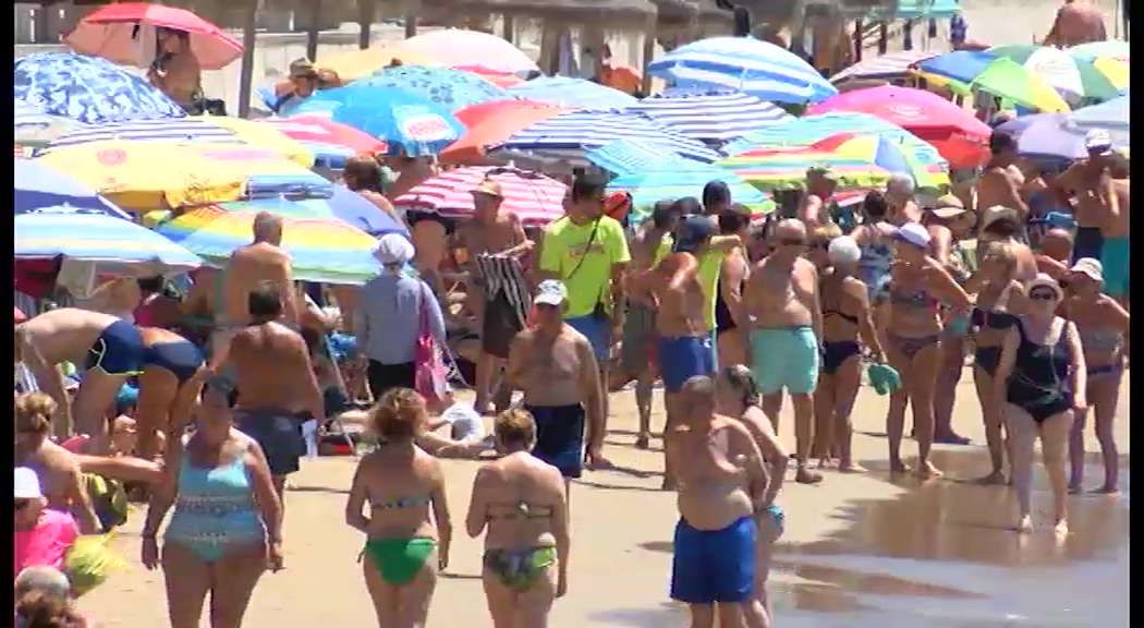 Imagen de Comienza el servicio de salvamento y socorrismo las playas de Torrevieja