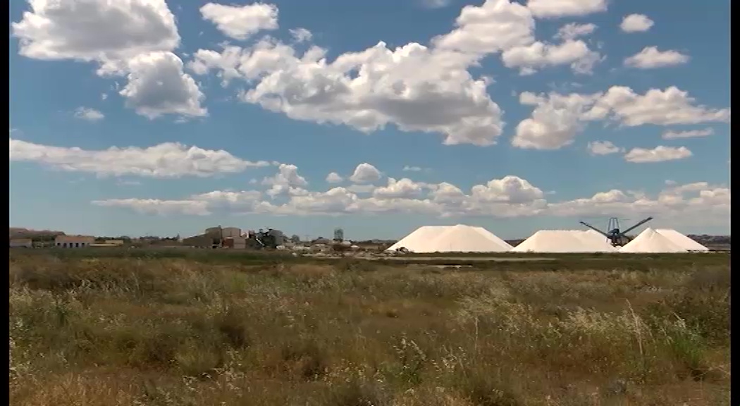 Imagen de El patronato de turismo organiza un Press Trip por la provincia, incluyendo Torrevieja