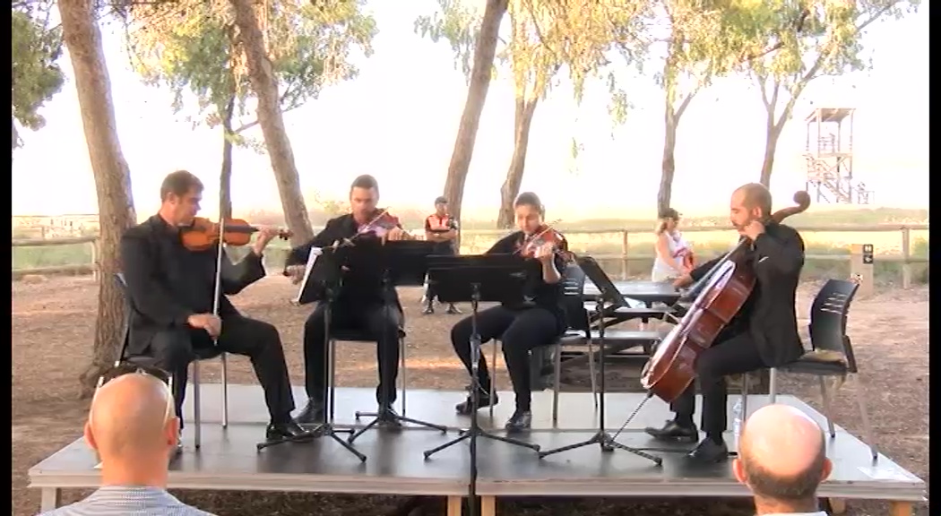 Imagen de La naturaleza como escenario de un concierto único