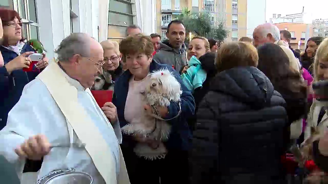 Imagen de Torrevieja y La Mata se unen a la bendición de animales con motivo de San Antón
