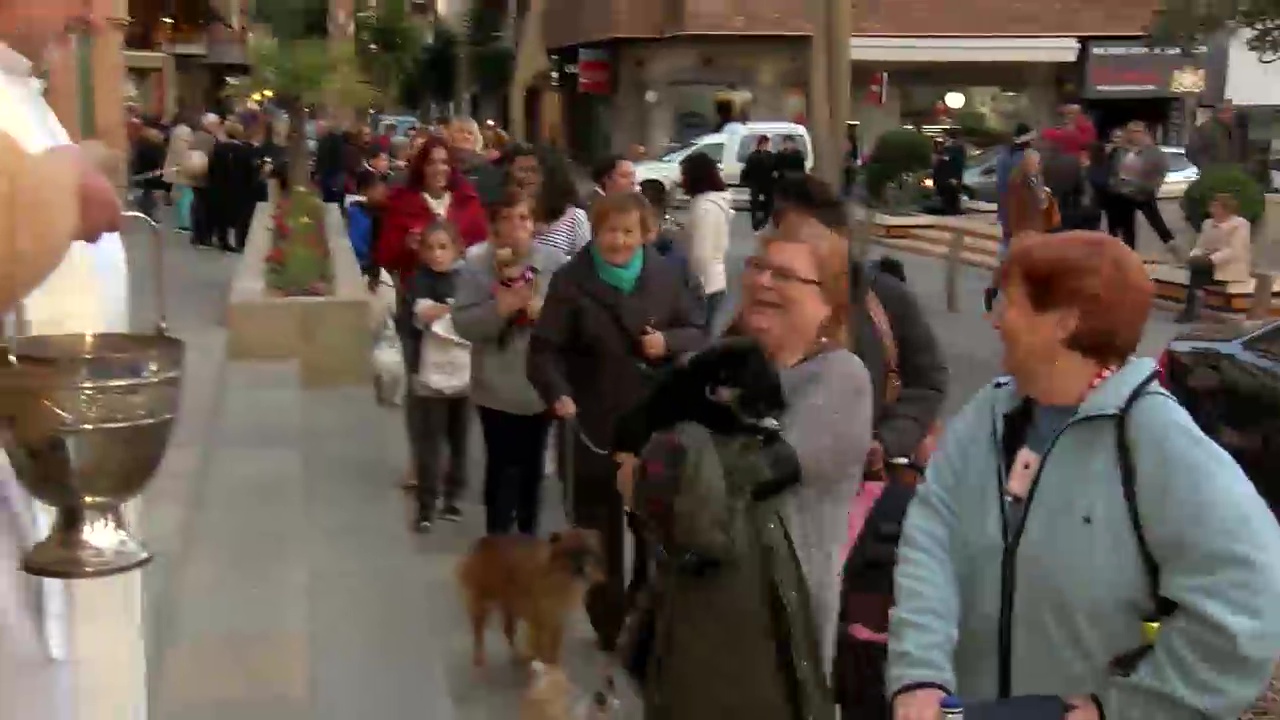 Imagen de Las mascotas de los torrevejenses reciben la bendición de San Antón