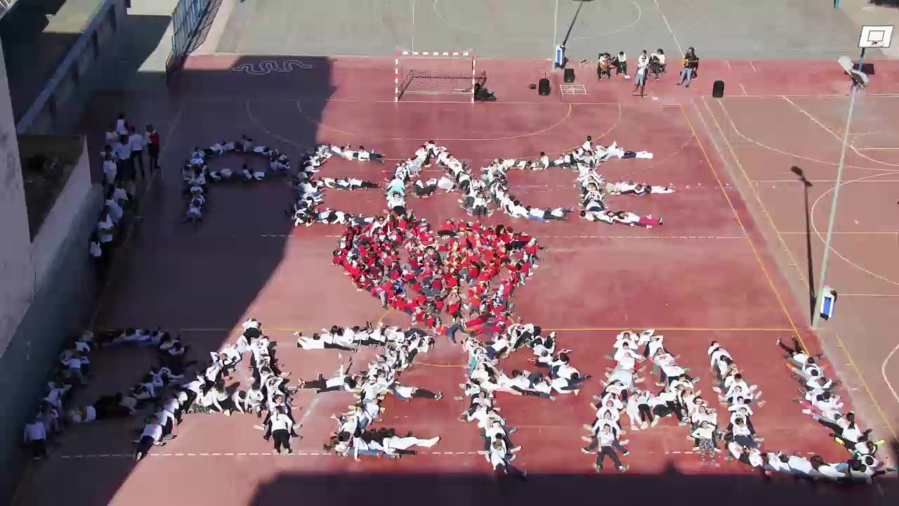 Imagen de El CP Cuba celebra el Día de la Paz