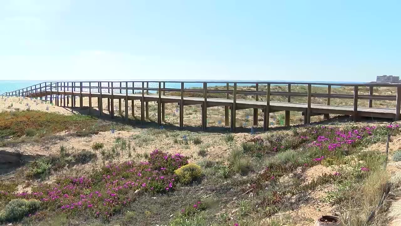 Imagen de Nuevos trabajos de revegetación en el Paraje natural del Molino del Agua