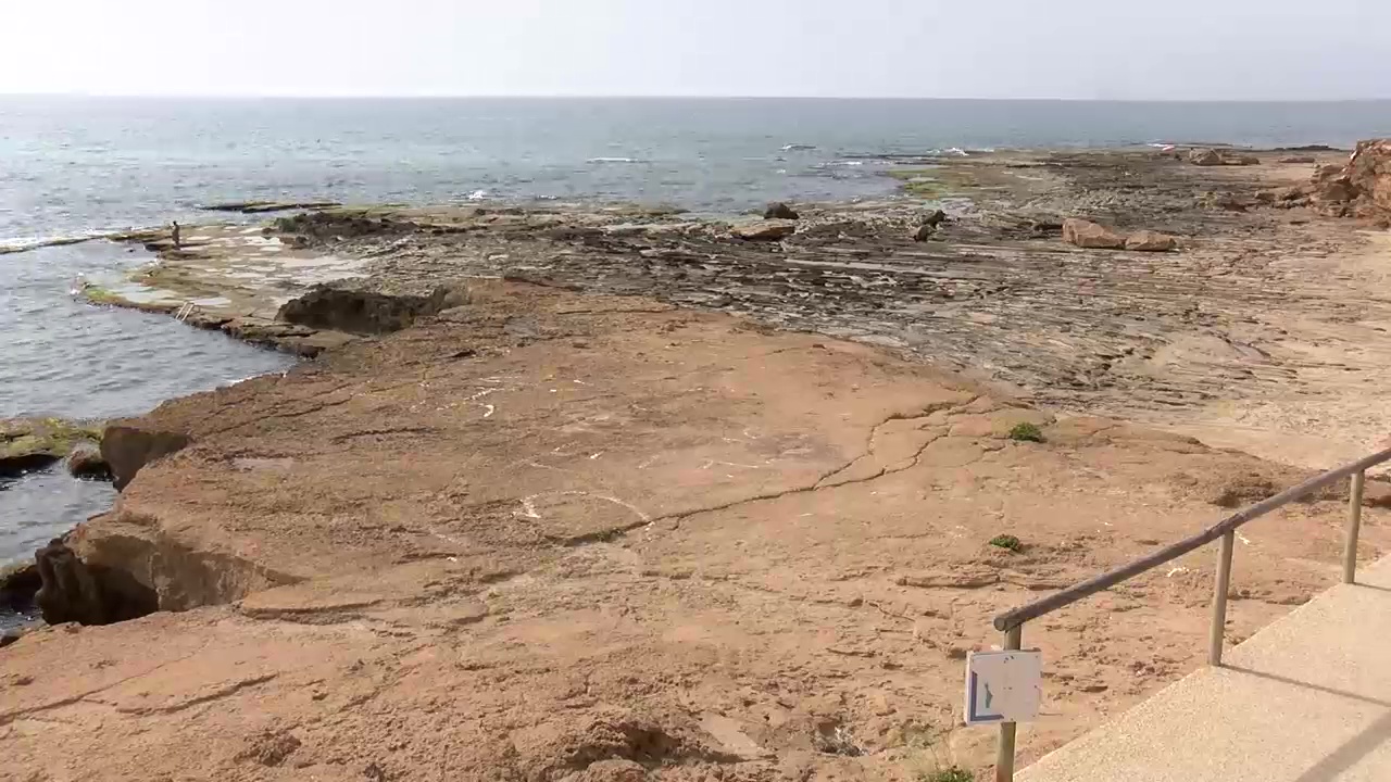 Imagen de Amigos de los Humedales del Sur pide al ayuntamiento que no autorice la playa canina en Cabo Cervera