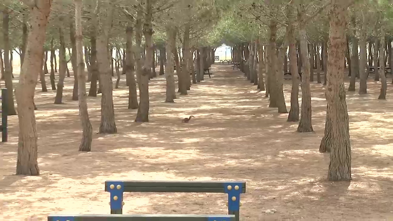 Imagen de Abierto el plazo de presentación de solicitudes para la acampada en el parque Lo Albentosa