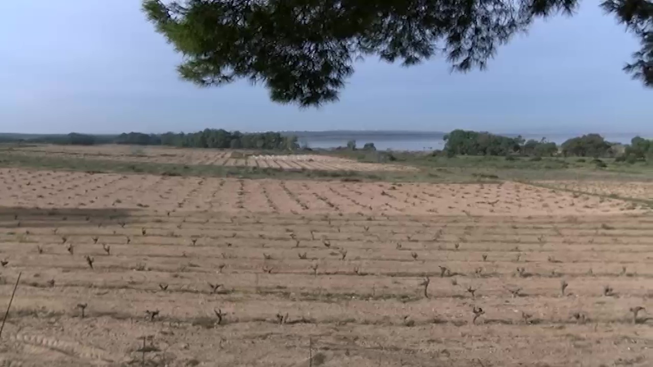 Imagen de El Centro de Interpretación del Parque Natural cuenta con un nuevo recurso divulgativo