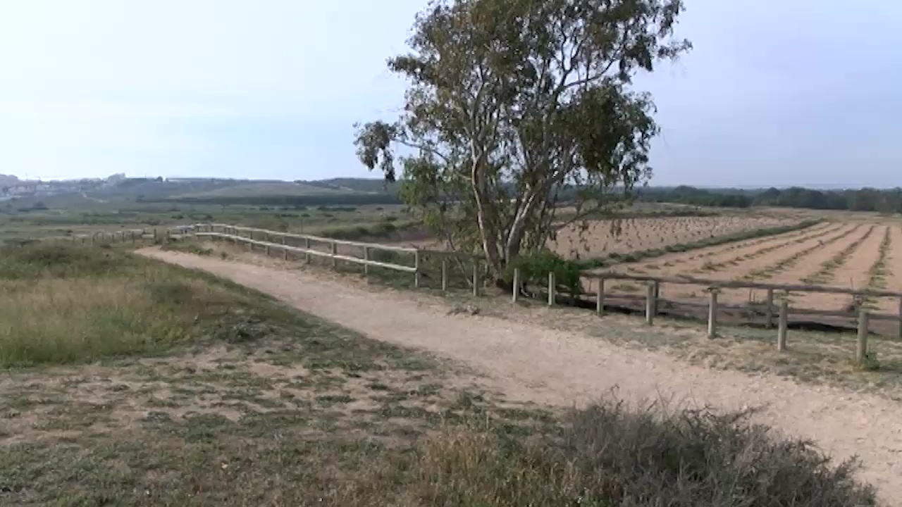 Imagen de Medio Ambiente nombra Embajador del parque de las Lagunas de la Mata y Torrevieja al IES Libertas