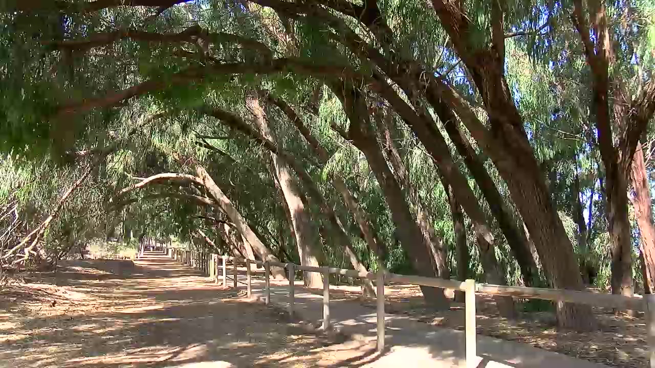 Imagen de Rincones por descubrir en nuestro parque natural