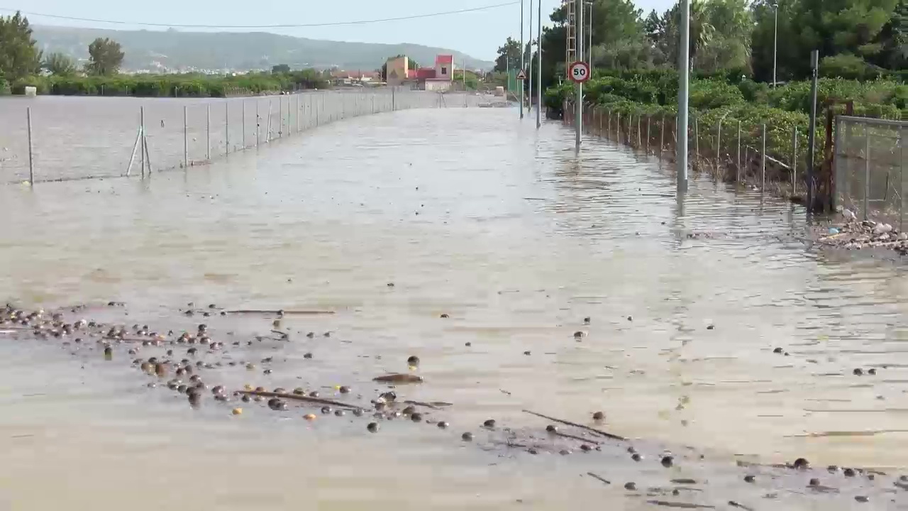 Imagen de El despertar más triste de la comarca