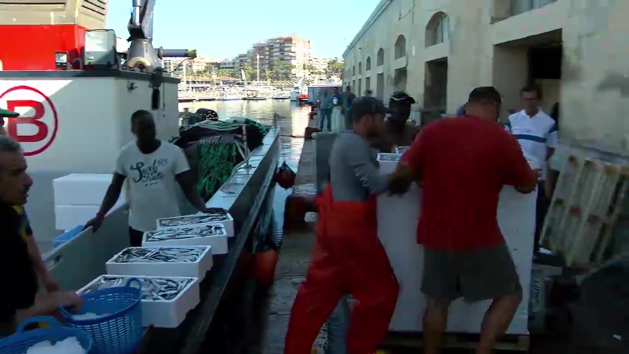 Imagen de El Consell destina más de 800.000 euros a las Cofradías de Pescadores