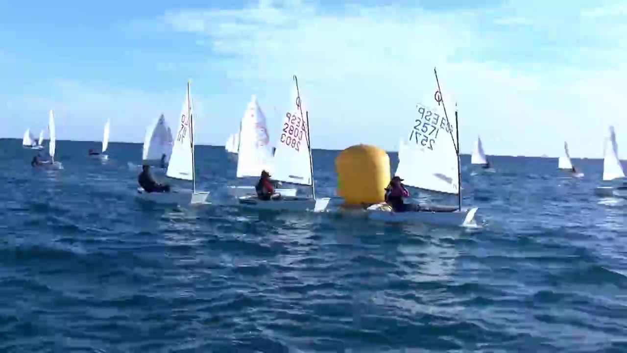 Imagen de Puesta de largo del Trofeo Euromarina de Optimist con más de 400 regatistas inscritos