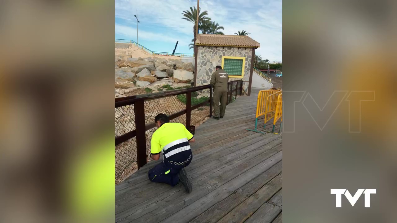 Imagen de Puesta a punto del litoral de cara a la semana santa tras los destrozos de la borrasca Gloria