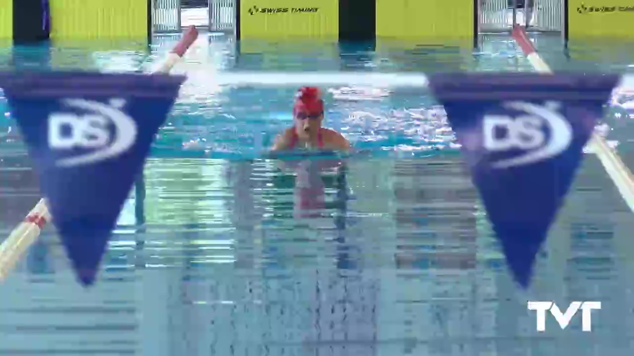 Imagen de Aplazado el Campeonato de España de natación previsto en Torrevieja ante el coronavirus