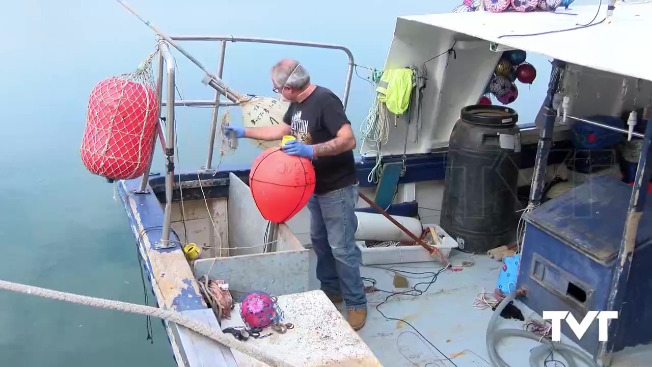 Imagen de La actividad en la lonja de Torrevieja se reduce pero continúa abasteciendo de pescado a los mercado