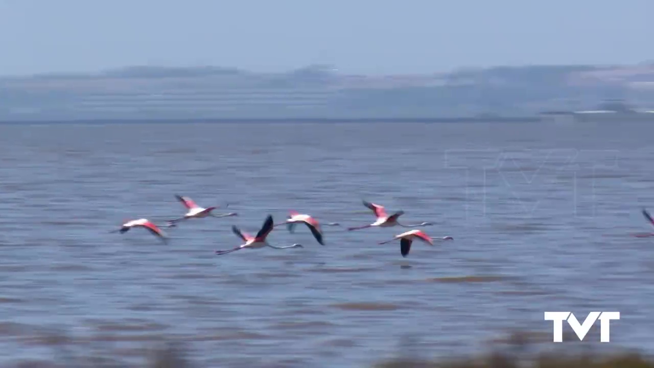 Imagen de La extraordinaria naturaleza nos vuelve a sorprender