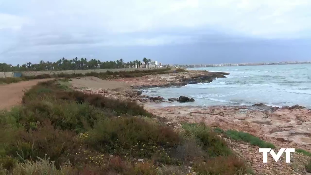 Imagen de Salvemos Lo Ferrís pide al Ayuntamiento que rectifique el traslado de la playa canina
