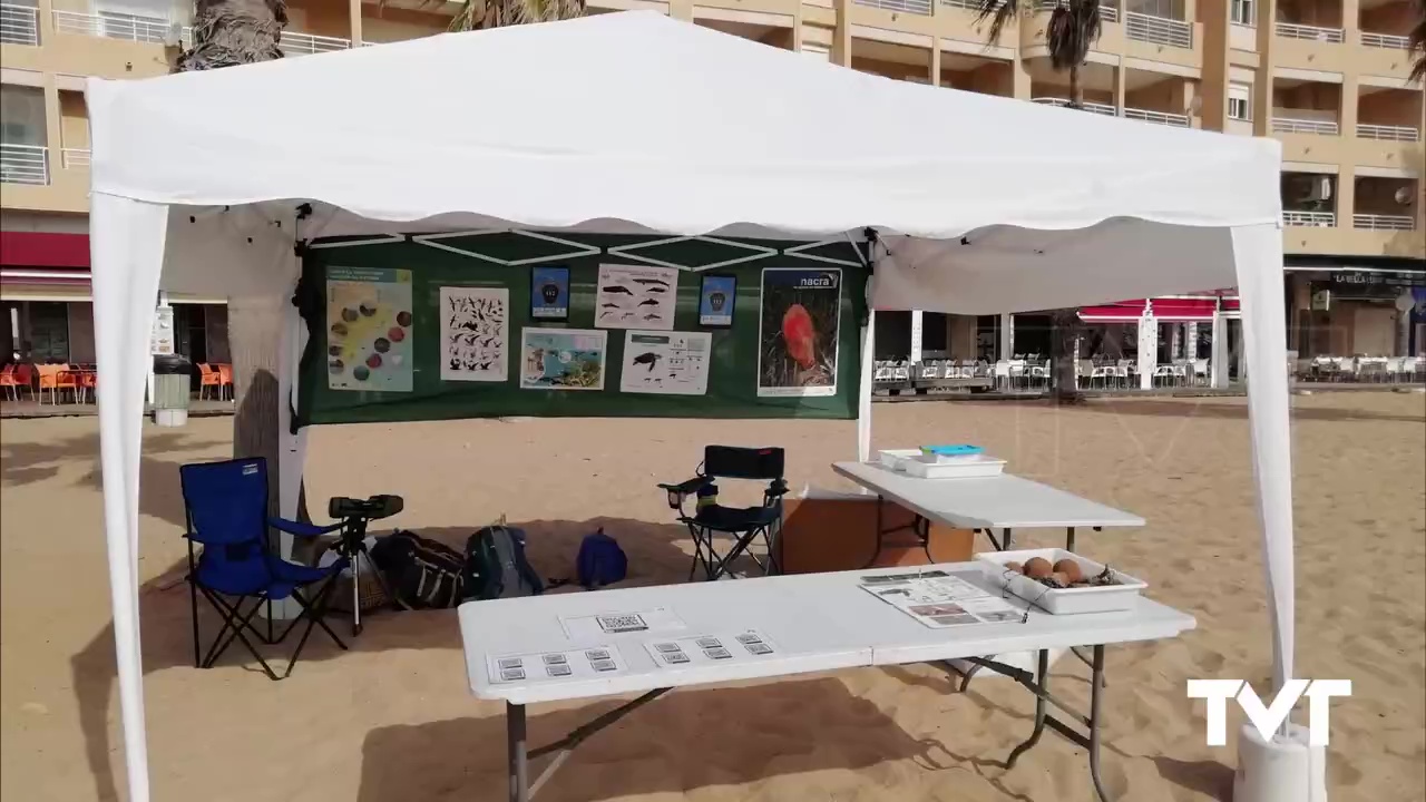 Imagen de Comienzan los talleres medioambientales en las playas