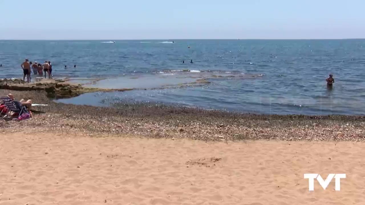 Imagen de El PSOE «multiplica» las firmas virtuales que piden el cambio de la playa canina