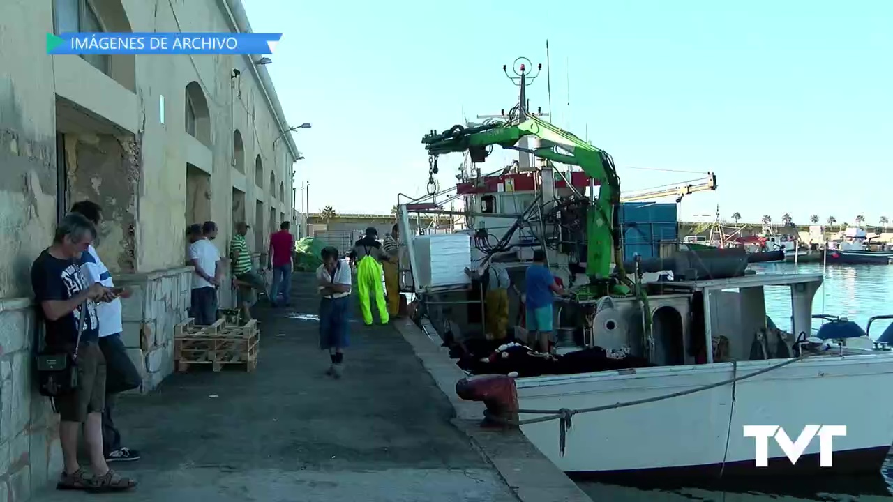 Imagen de Los pescadores de la Comunitat Valenciana recogieron 76.000 kilos de basura marina en 2019