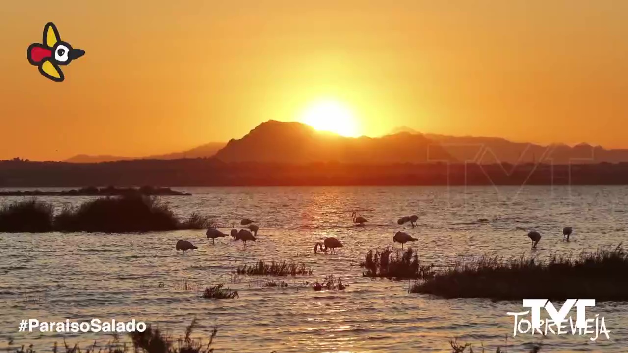 Imagen de Espacios naturales en estado puro...