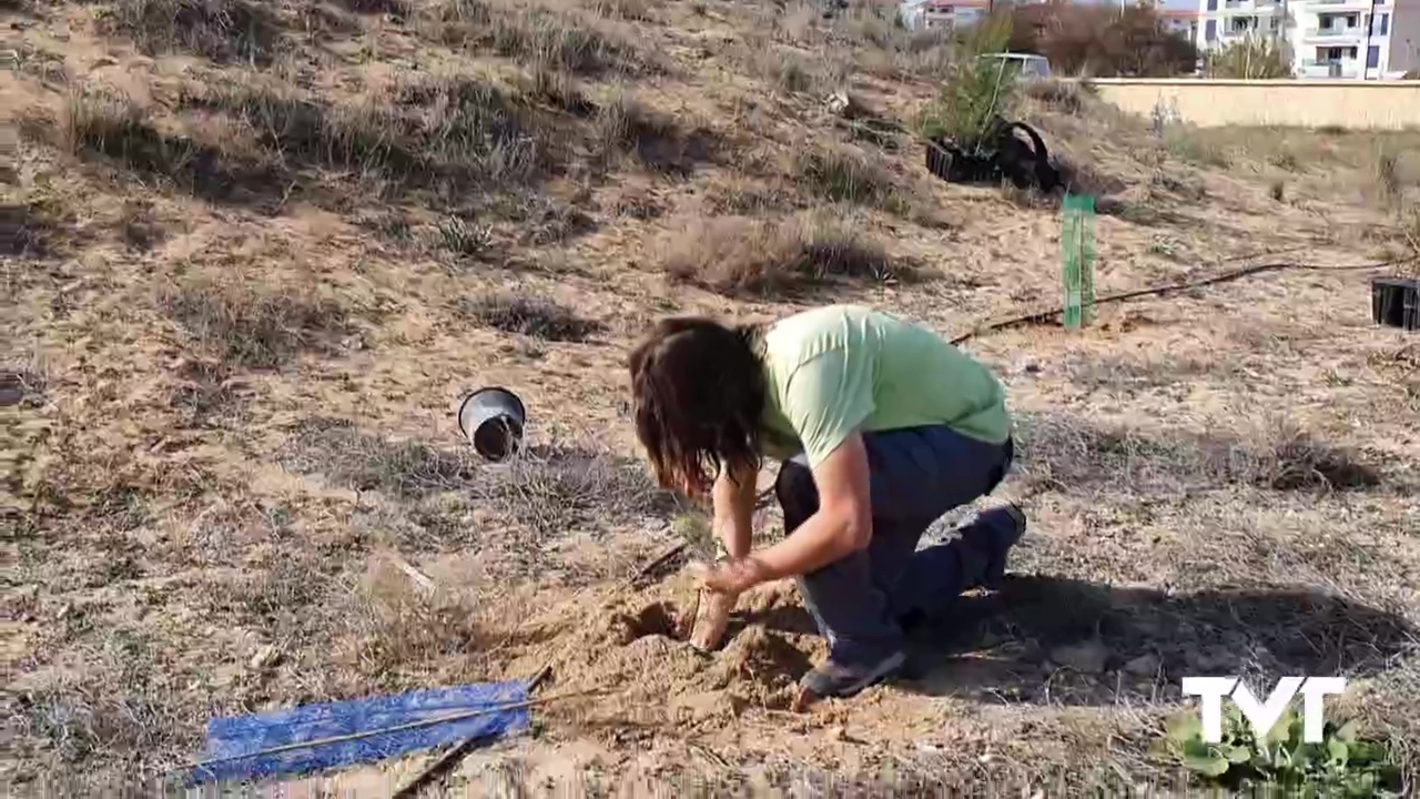 Imagen de Trabajos de repoblación en el paraje Natural Parque del Molino del Agua