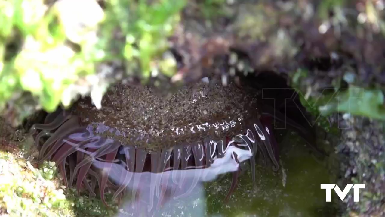 Imagen de El extraordinario mundo de la naturaleza que nos rodea