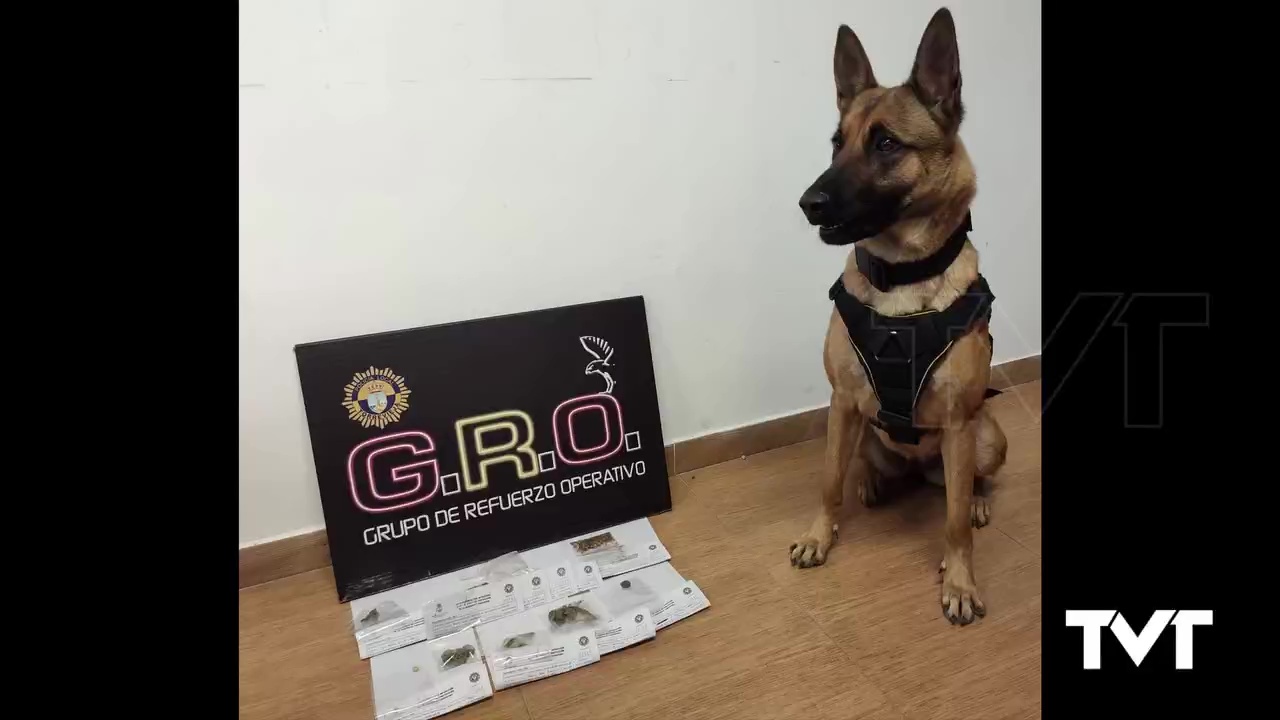 Imagen de La Unidad Canina del GRO, contra el consumo de sustancias estupefacientes