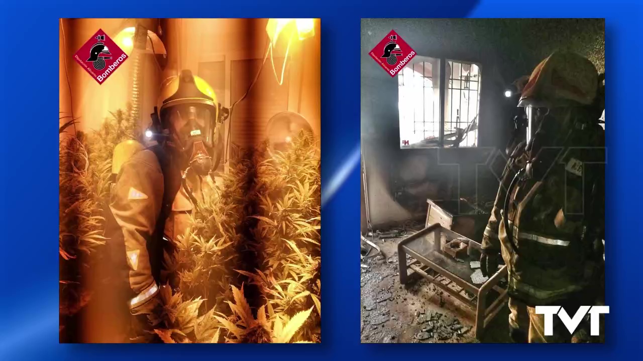 Imagen de Los bomberos de Torrevieja se encuentran una plantación de marihuana al sofocar un incendio