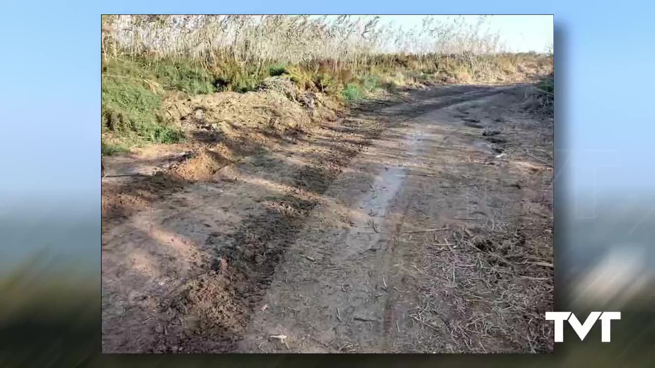 Imagen de AHSA advierte del impacto de la apertura de una pista en la Laguna de Torrevieja