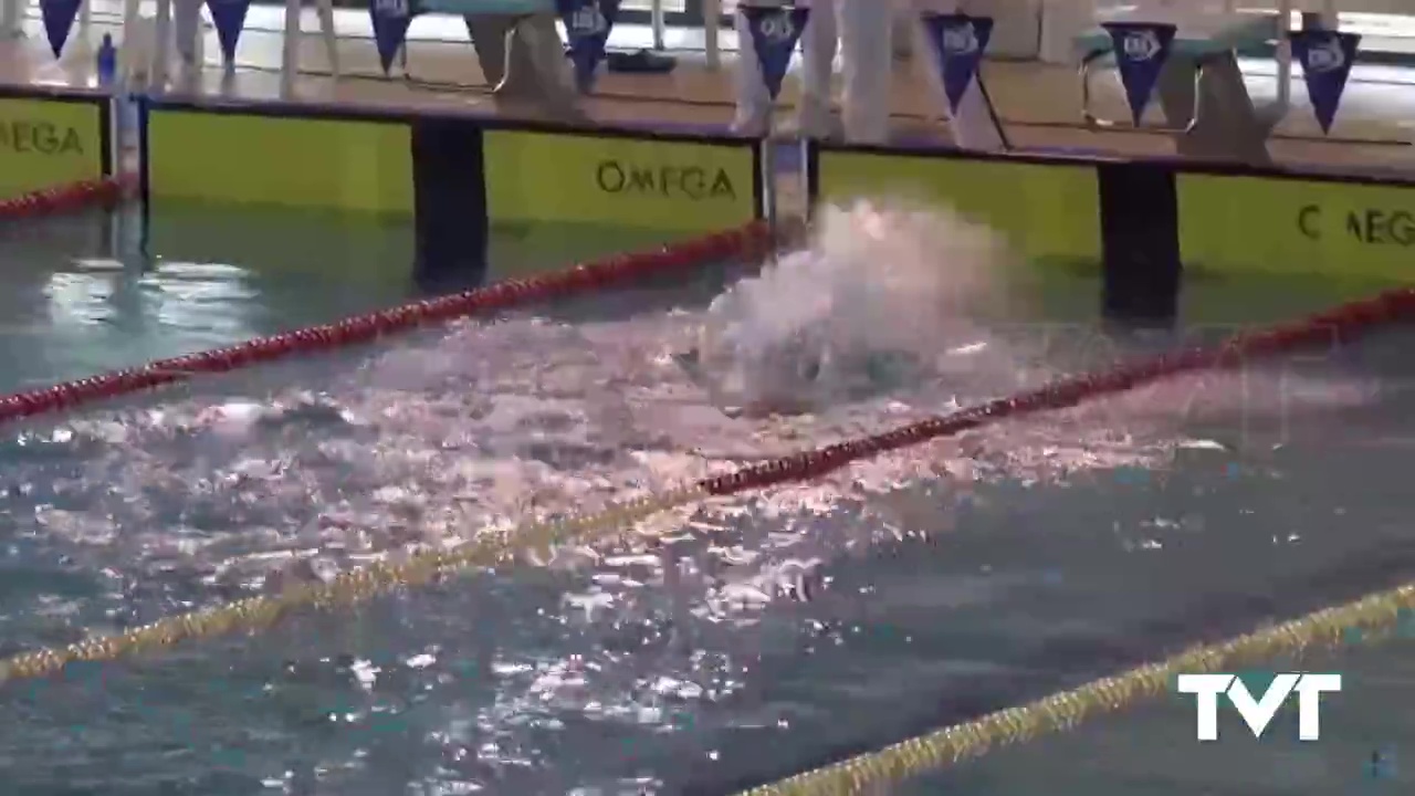 Imagen de Comienza el Campeonato de España de Natación FEDDI