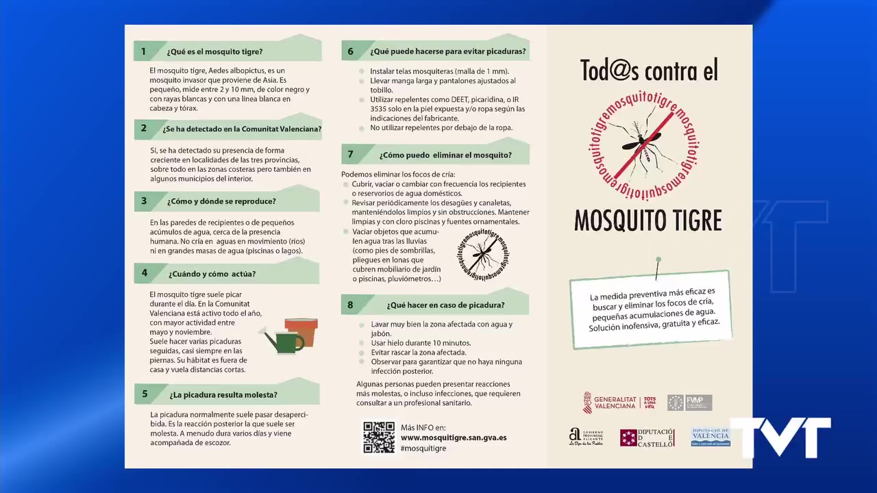 Imagen de El mosquito tigre está presente en el 85% de municipios de la Comunidad Valenciana