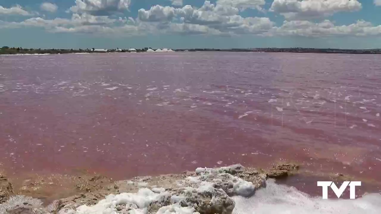 Imagen de Puesta en valor de la salmuera de la Laguna Rosa