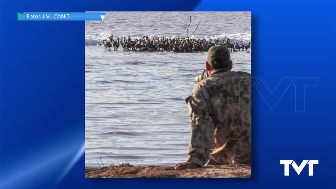 Imagen de Más de 240 pollos de Flamenco nacieron en junio en la Laguna Rosa. 207 siguen vivos