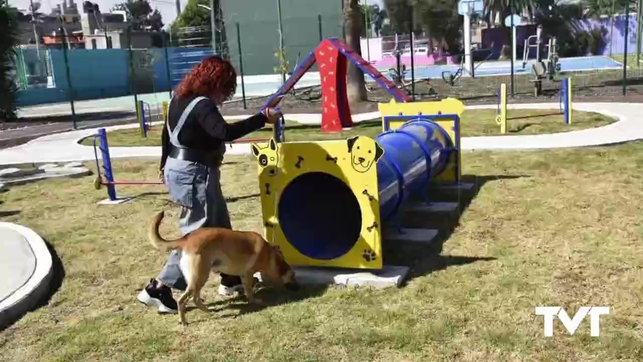 Imagen de Cs Torrevieja solicita al Ayuntamiento la creación de parques caninos