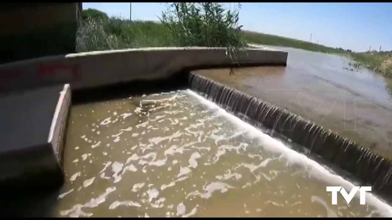 Imagen de Los Verdes exigen una ley territorial en el campo de Cartagena para salvar el Mar Menor