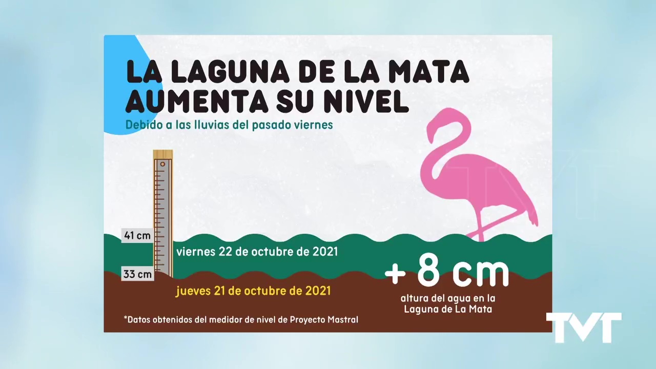 Imagen de La laguna de La Mata aumenta su nivel hasta ocho centímetros