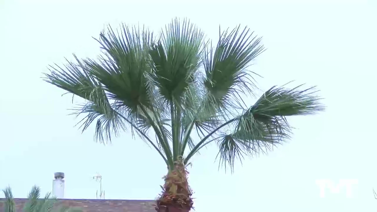 Imagen de Se registran rachas de viento de hasta 85 km/hora