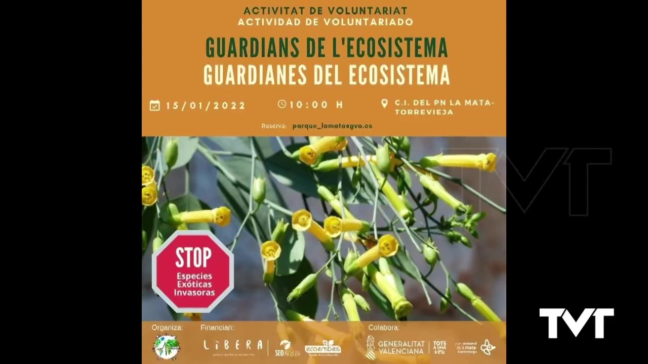 Imagen de Este Sábado puedes participar en la jornada Guardián del ecosistema