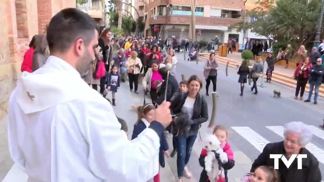 Imagen de Torrevieja tendrá bendición de animales el 17 de enero por San Antonio Abad