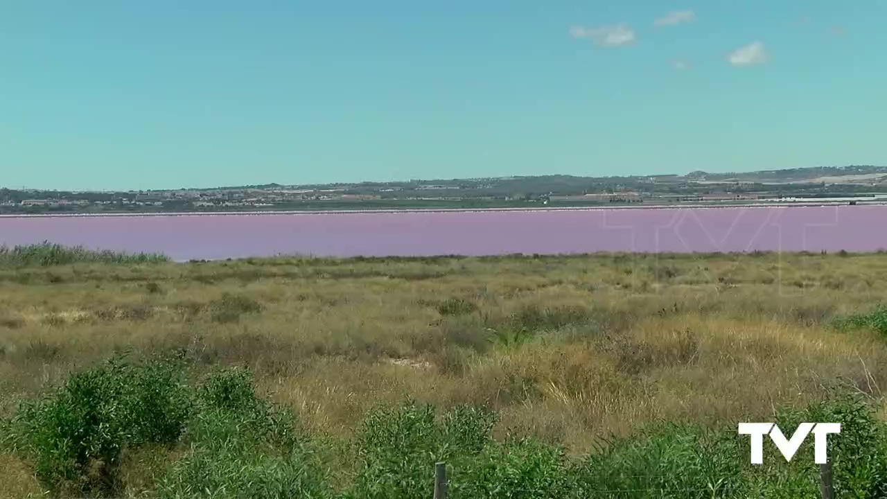 Imagen de Un centro de talasoterapia en Torrevieja que aprovece las aguas del mar y de la Laguna Rosa