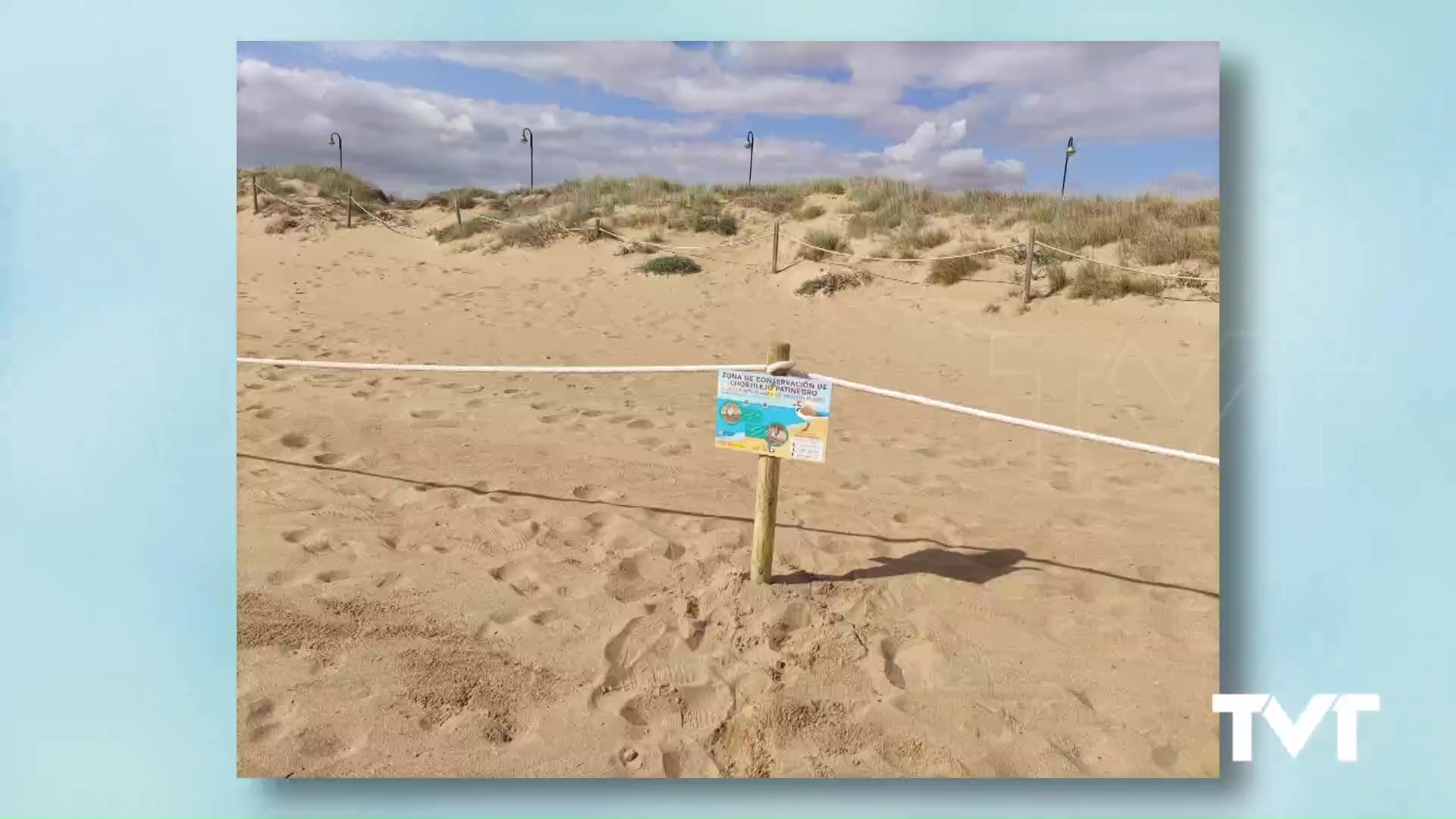 Imagen de Nuevo balizado de más de 400 metros en la Playa de la Mata para proteger al chorlitejo patinegro