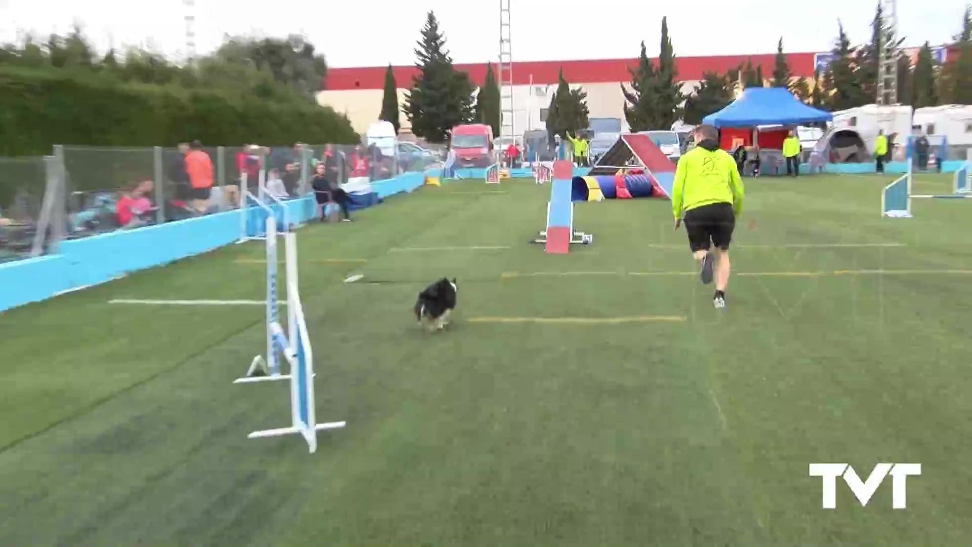 Imagen de Competición de Agility en Torrevieja puntuable para el Campeonato de España 2022