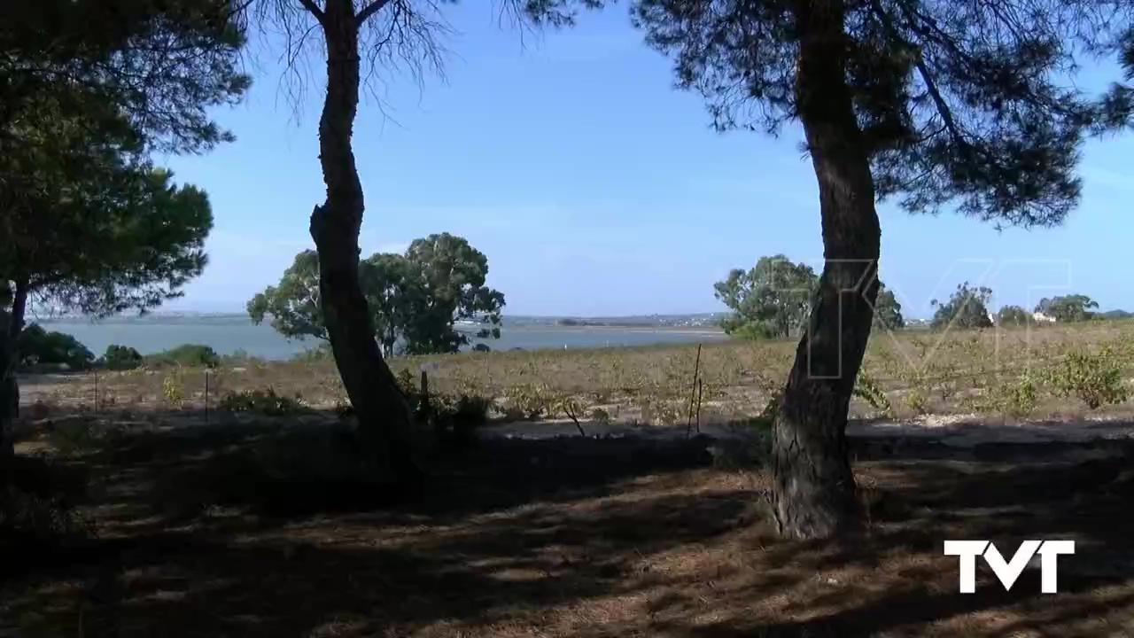 Imagen de Torrevieja se suma a la celebración del Día Internacional de la Biodiversidad