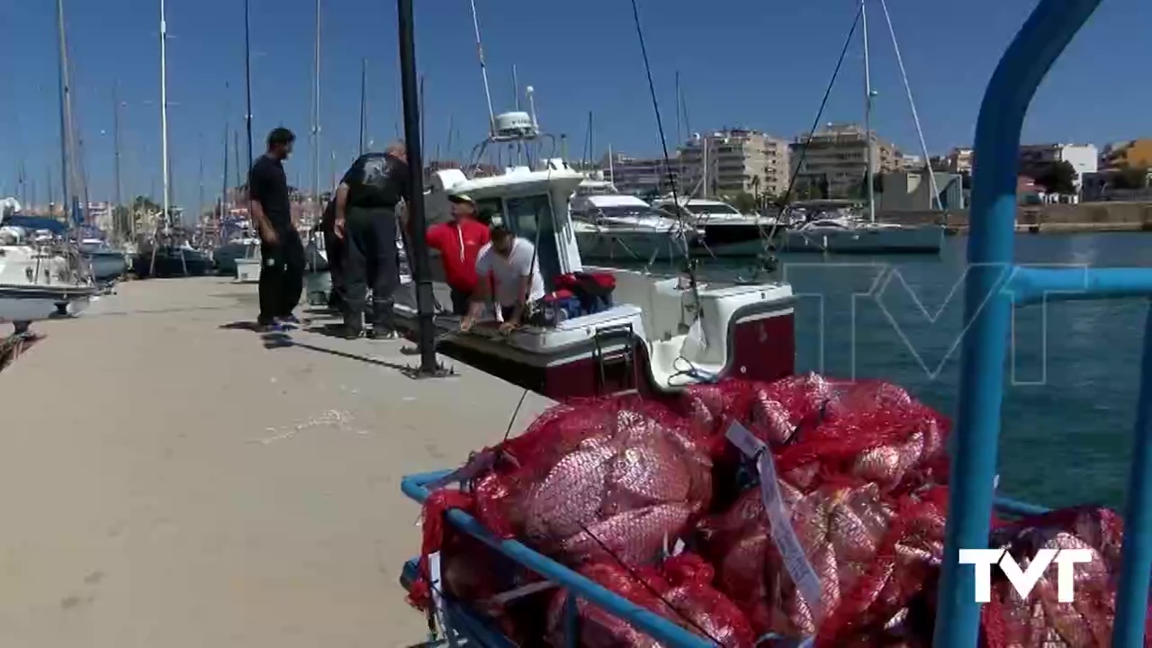 Imagen de Campeonato de España de Selecciones Autonómicas de Embarcación Fondeada