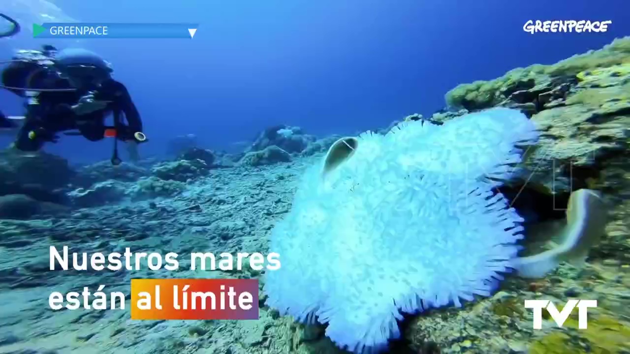 Imagen de Día Mundial de los Océanos. Cuidemos nuestra fuente de vida