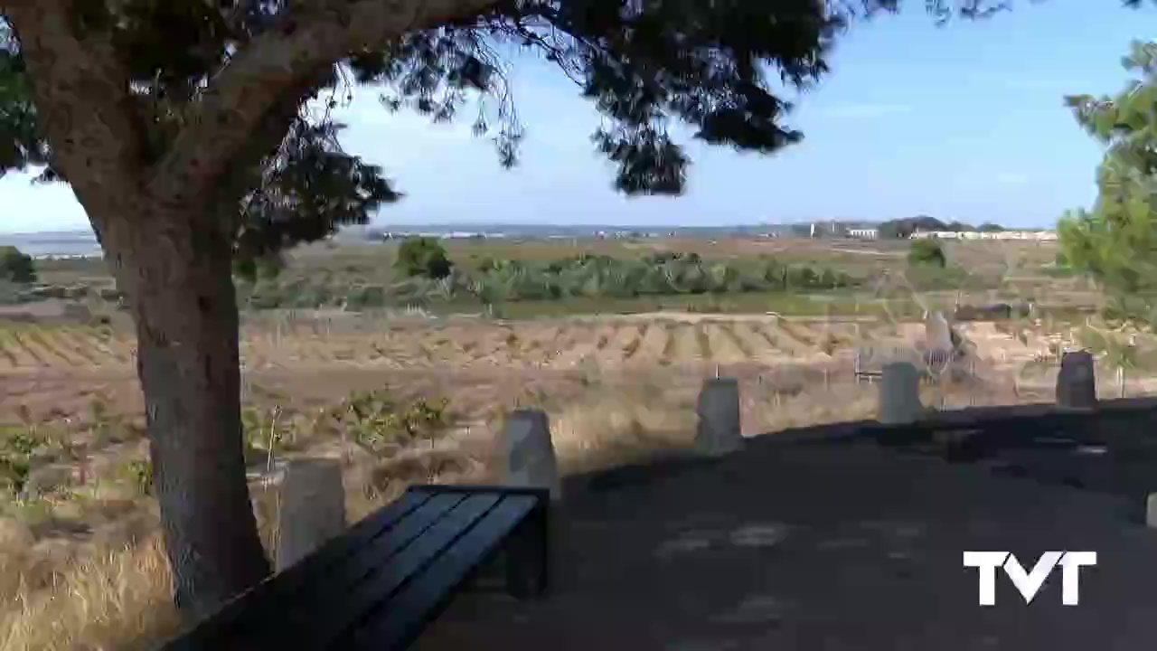 Imagen de Se frena la propagación del brote de botulismo del Hondo a las Lagunas de La Mata y Torrevieja